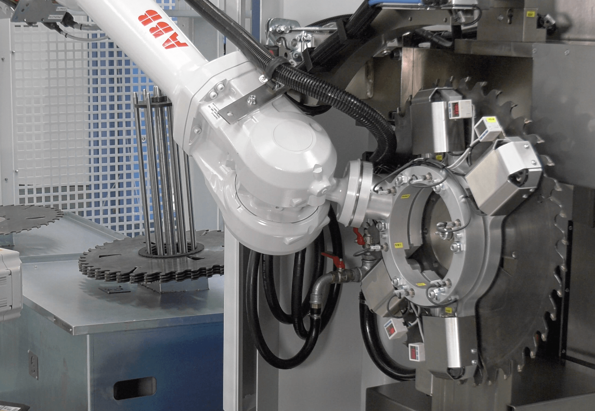 Sharpening solutions for circular saws – Automation & Robotics Sharpening solutions for circular saws – Automation & Robotics
