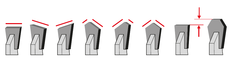 Dos de la dent